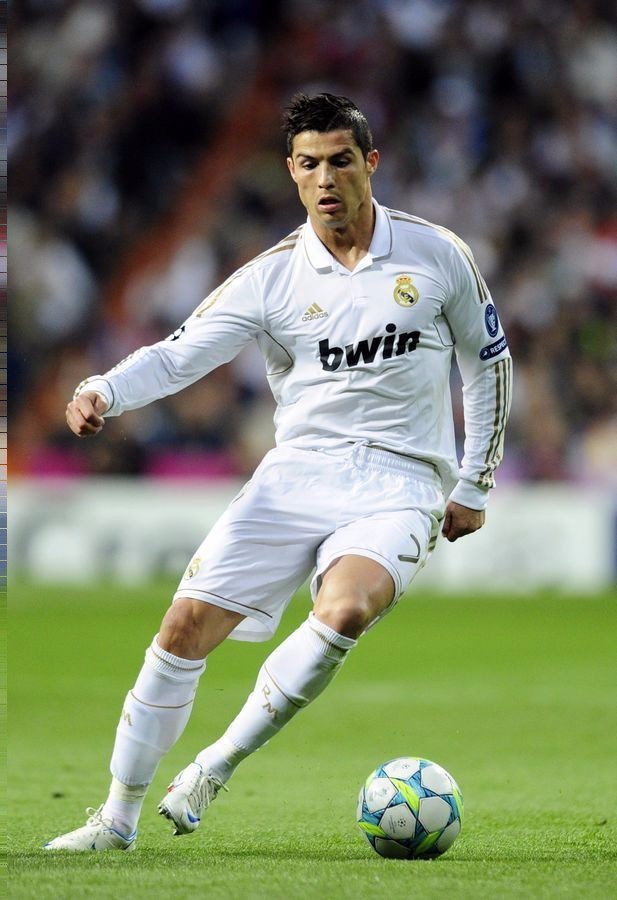 在寻求加强 在寻求加强